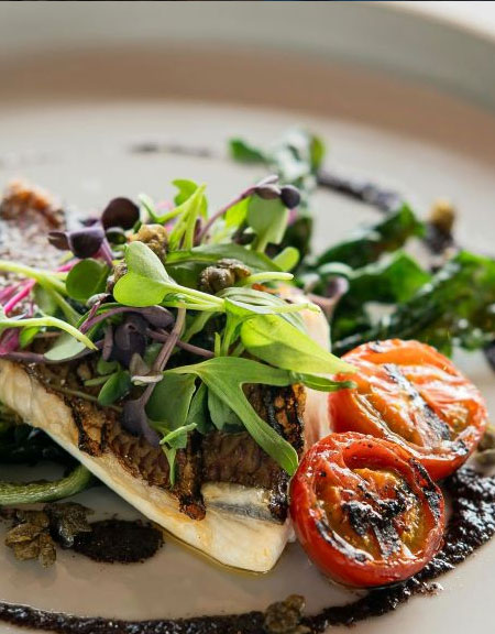 Baked Haddock with Swiss Chard and Tomatoes