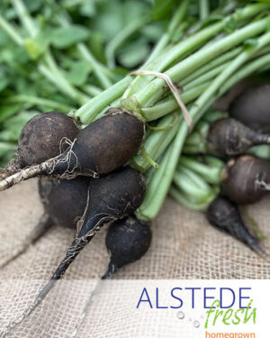 https://d2q6dnj4cg2jw.cloudfront.net/wp-content/uploads/2018/05/04100328/alstede-fresh-black-radish-300x375.jpg