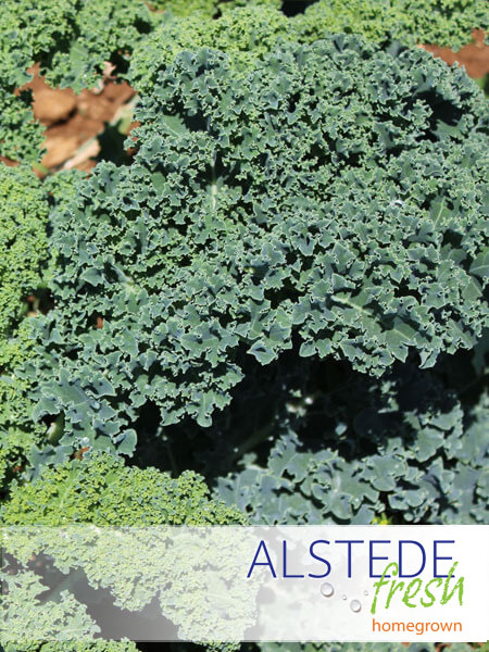 Alstede Fresh Collard Greens (Per Bunch)