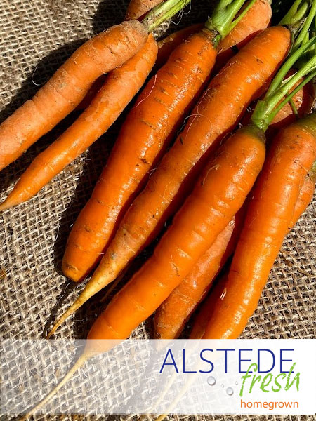 https://d2q6dnj4cg2jw.cloudfront.net/wp-content/uploads/2018/05/13072021/alstede-fresh-carrots.jpg