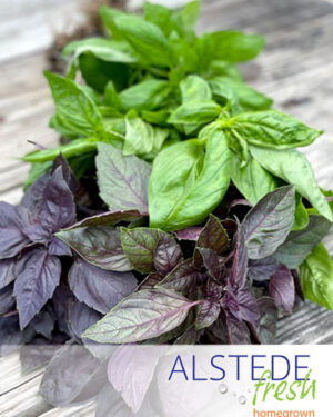 https://d2q6dnj4cg2jw.cloudfront.net/wp-content/uploads/2020/06/13072129/alstede-fresh-basil-300x375.jpg