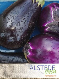 Alstede Farms Eggplant Purple