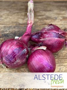 Alstede Fresh Red Onions
