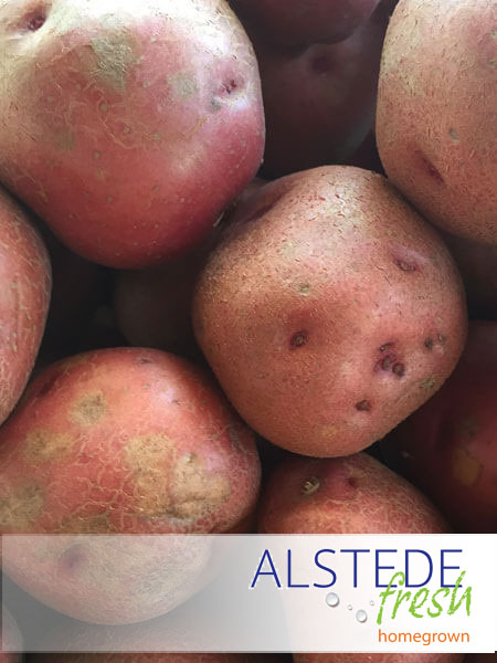 No Small Potatoes, Alstede Farms