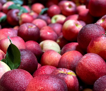 Apples, very a-peeling to all, Alstede Farms