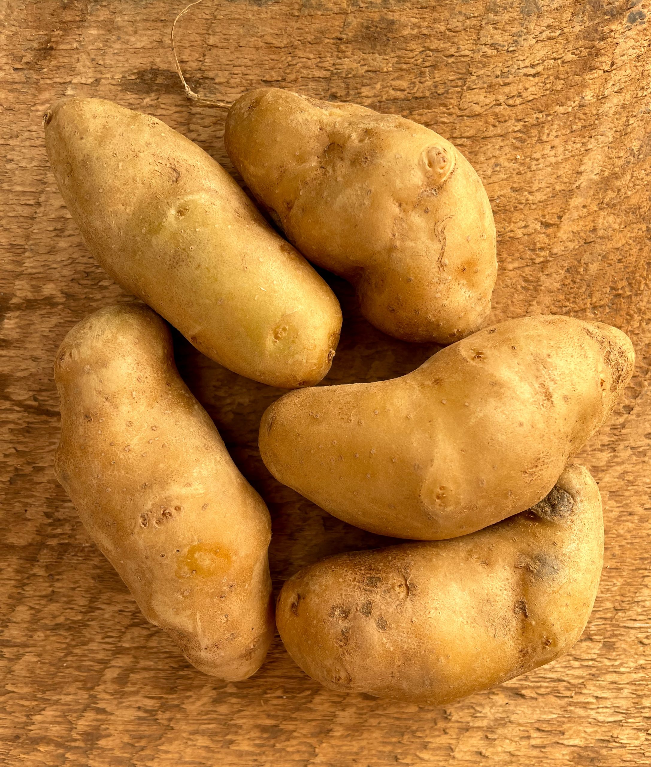 No Small Potatoes, Alstede Farms