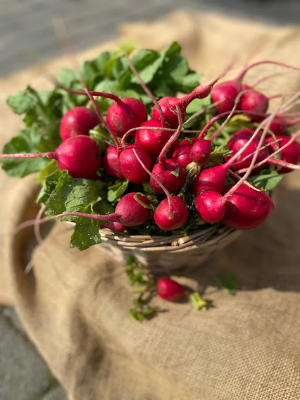 Radishes - Produce Made Simple