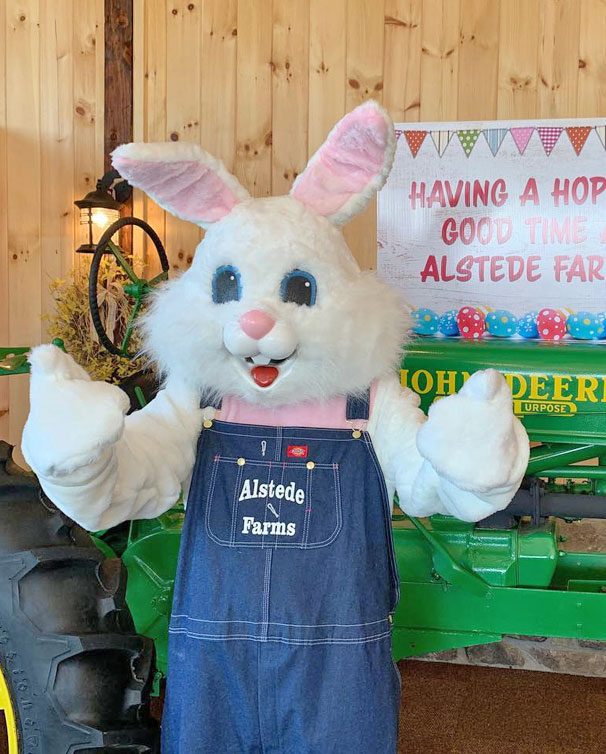 Alstede Farms Sparkling Cider