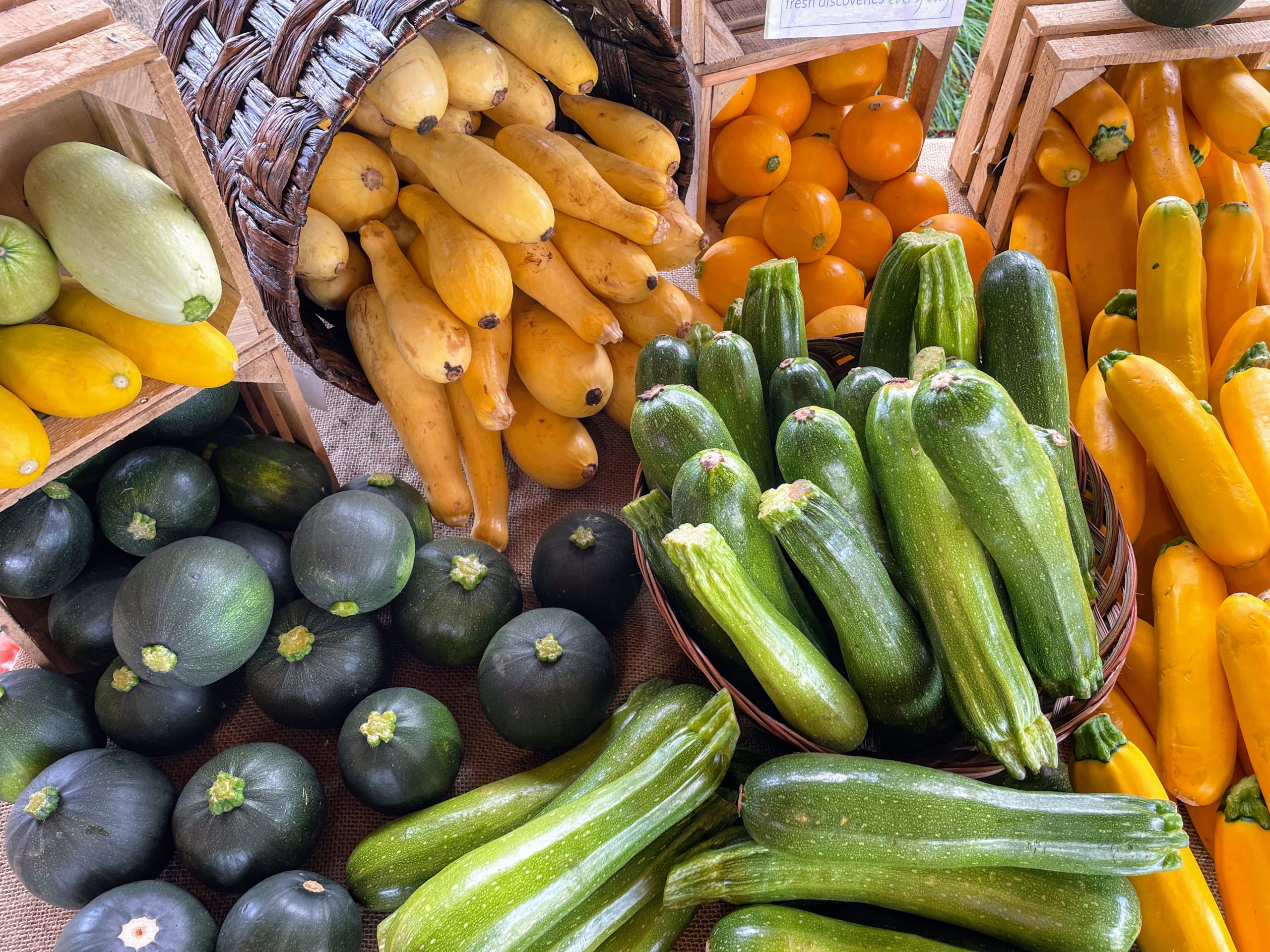 Skewered Ribbon Squash