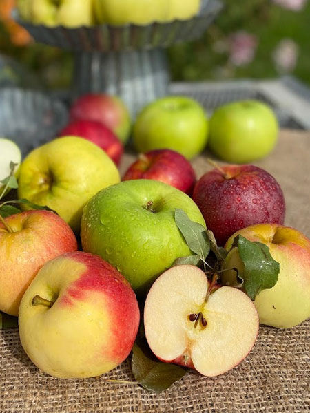 Apples, very a-peeling to all, Alstede Farms