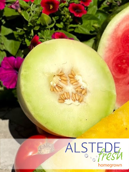 How To Pick A Honeydew Melon - Serendipity And Spice