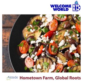 Mediterranean Eggplant Recipe