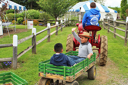 Children's Activities | Alstede Farms | NJ