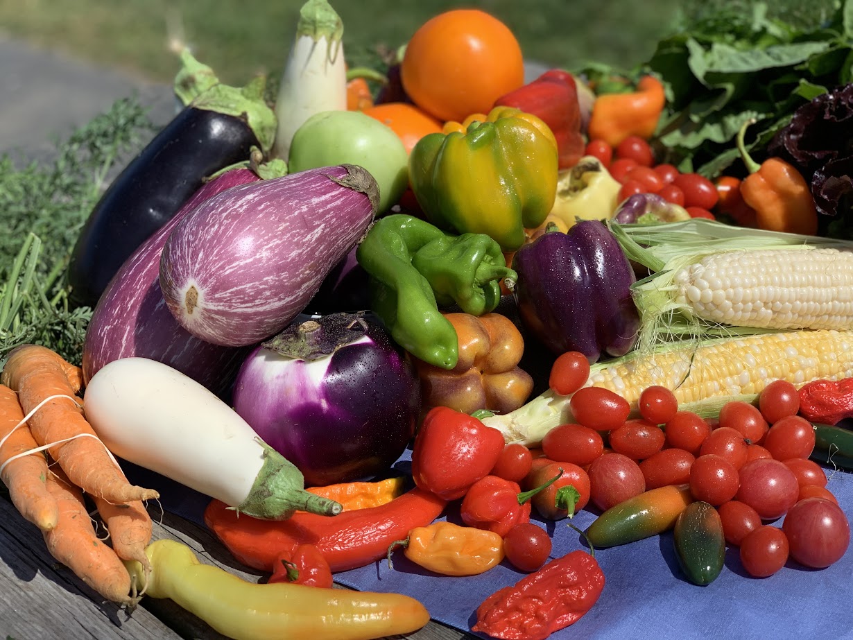 Summer Bounty: A Guide to Tomatoes, Eggplant, Cucumbers, Peppers 