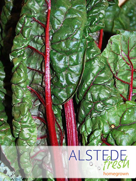 Alstede Fresh Swiss Chard
