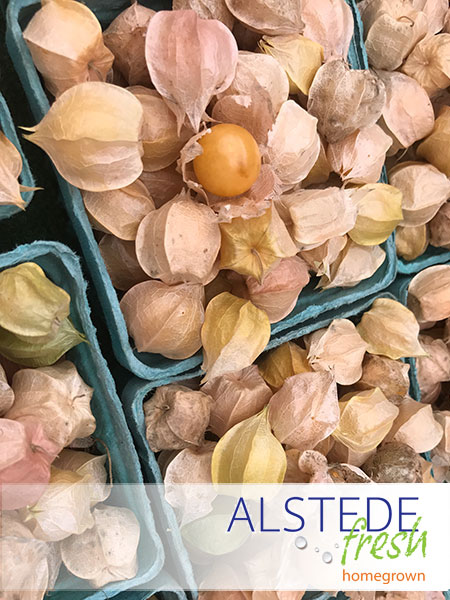 Alstede Fresh Husk Cherries