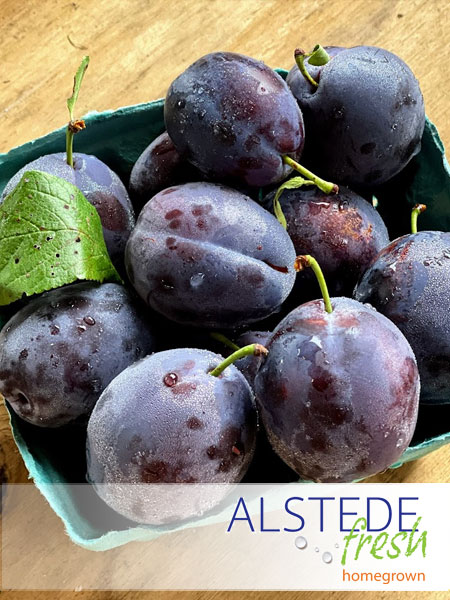 Alstede Fresh Plums - Italian