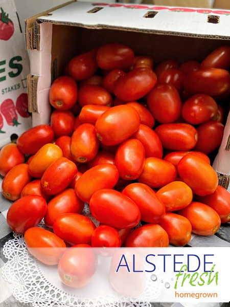 Alstede Fresh Tomatoes - Plum Red (25lb. box)