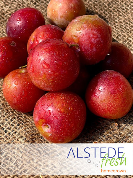Alstede Fresh Plums - Sugar