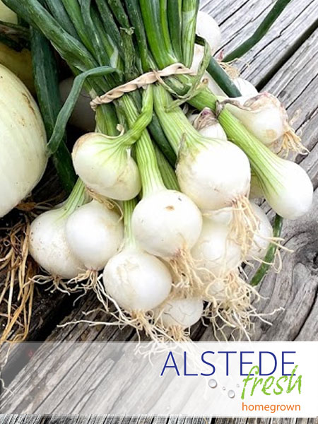 Alstede Fresh Onions - White Mini