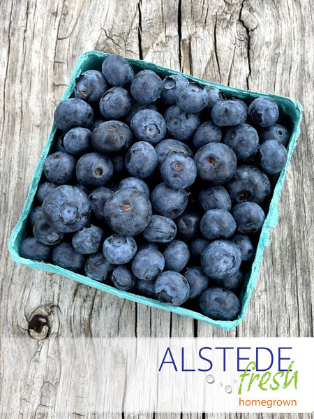 Alstede Fresh Blueberries