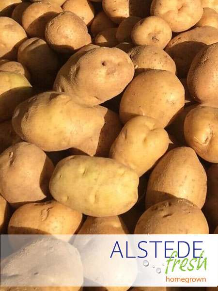 Alstede Fresh Potatoes - Gold