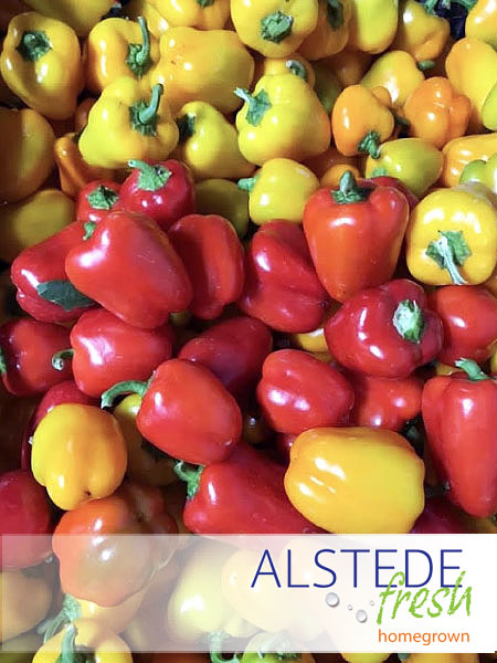 Alstede Fresh Peppers - Lunchbox