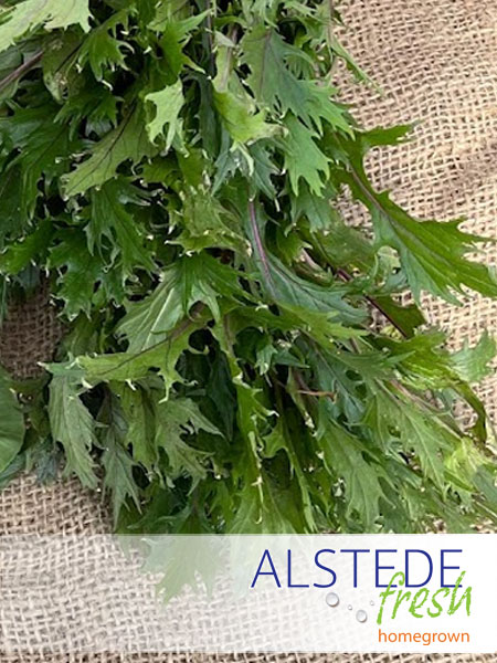 Alstede Fresh Mizuna (Per Bunch)