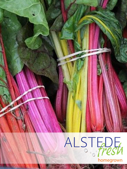 Alstede Fresh Rainbow Chard (Per bunch)