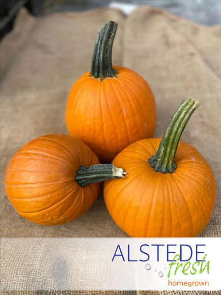 Alstede Fresh Pumpkins - Sugar