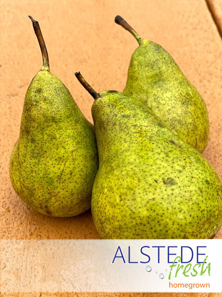 Alstede Fresh Green Bartlett Pears (Per lb)