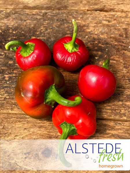 Alstede Fresh Peppers - Cherry Bomb