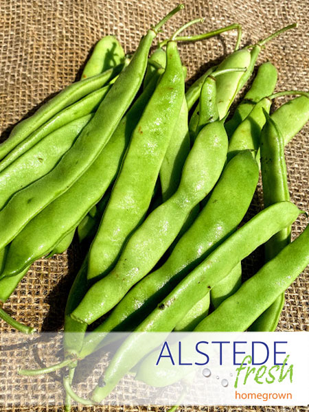 Alstede Fresh Beans - Italian Flat
