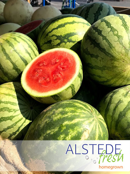 Alstede Fresh Watermelon - Large Red