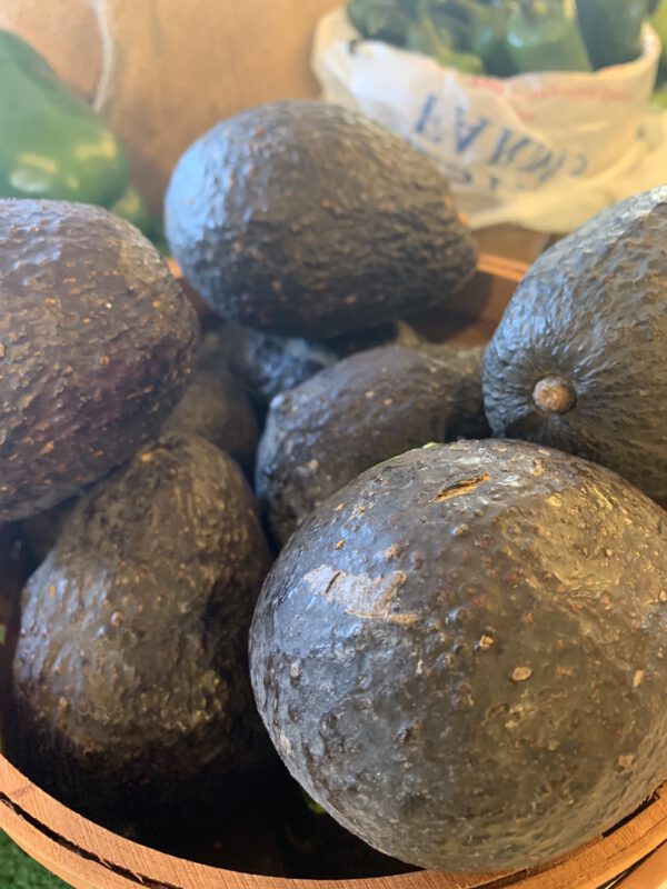 Avocado (Each)