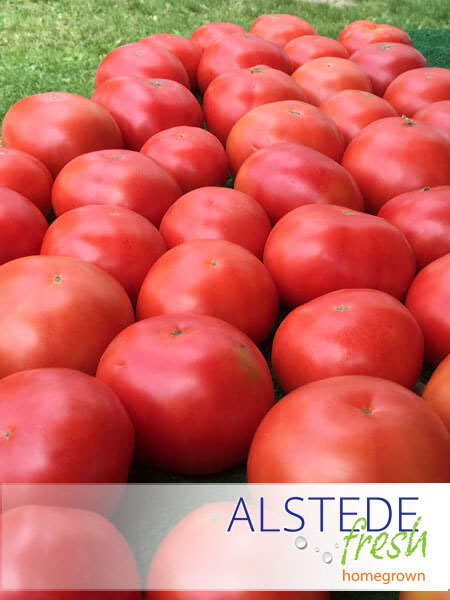 Alstede Fresh Tomatoes - Red (Per lb)