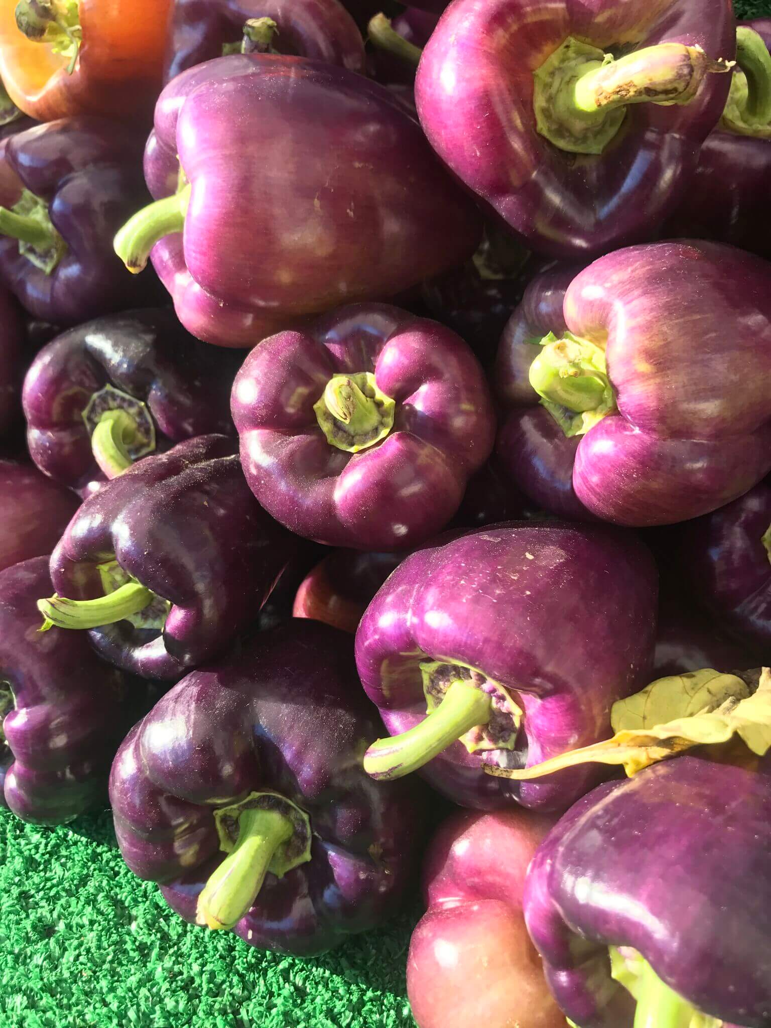 Alstede Fresh Peppers - Purple Bell (Per lb)