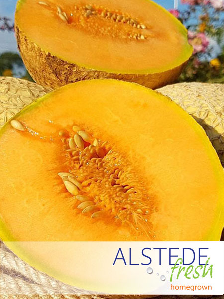 Alstede Fresh Melons - Musk