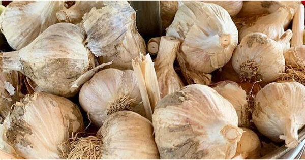 Garlic (per pound)