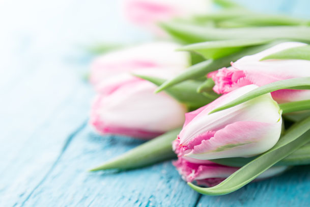 Mother's Day at Alstede Farms