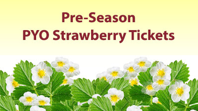 Pre-Season PYO Strawberry Tickets