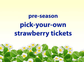 Pre-Season PYO Strawberry Tickets