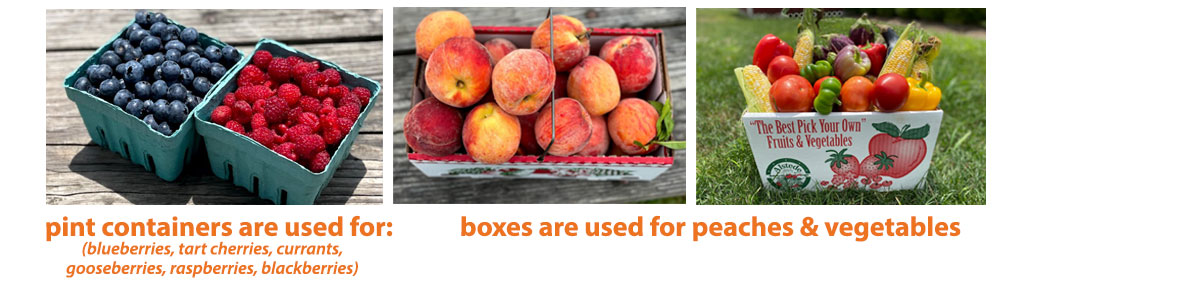 full-width-container-early-july