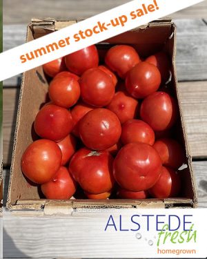 Alstede Fresh Tomatoes 25-lb. Box