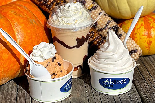 Seasonal Fall Ice Cream Flavors