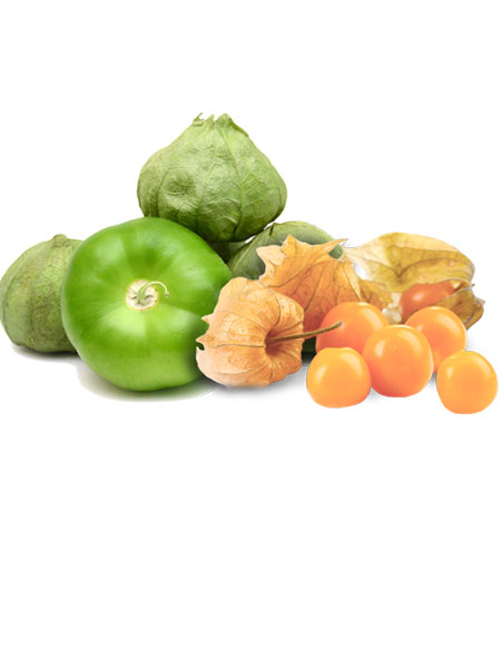 Tomatillos and Husk Cherries