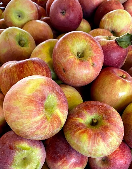 Roasted Apple Topping