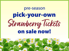 Pre-Season PYO Strawberry Tickets