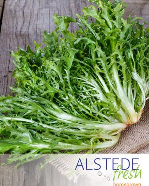 Alstede Fresh Endive