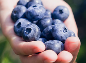 Pick Your Own